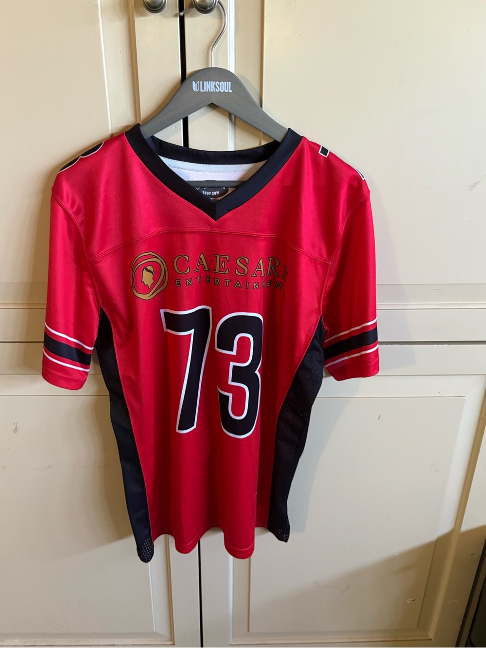 Men's Red #73 Jersey